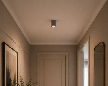 Lampa sufitowa downlight tuba plafon metalowa okrągła szara pojedyncza E27 TYBER 3108