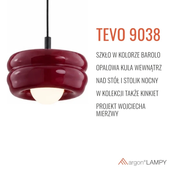 TEVO_9038_cechy.jpg